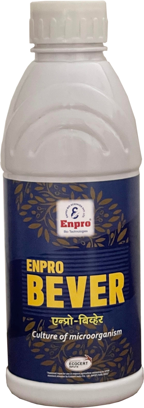 Enprobio Enpro-bever Beauveria bassiana