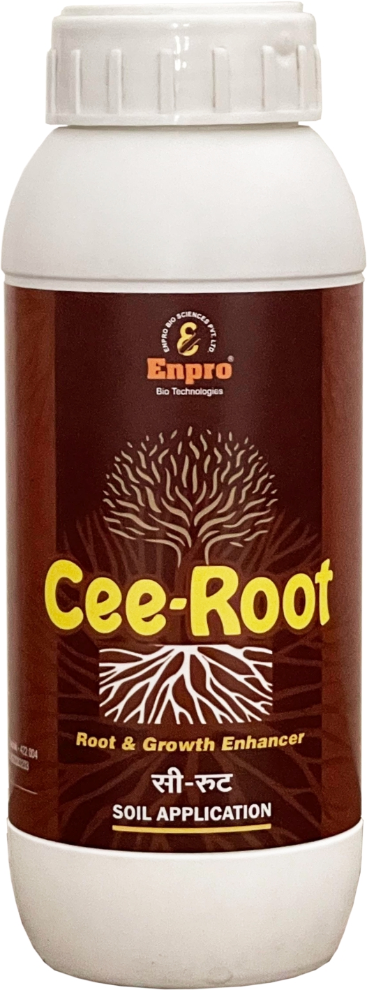 Enprobio Cee-Root For white root development
