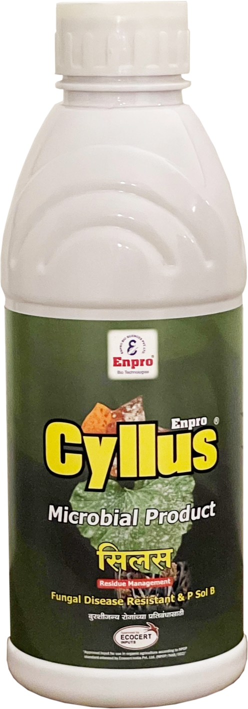 Enprobio Cyllus Bacillus subtilis