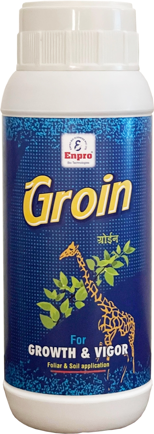 Enprobio Groin For Growth & Strength